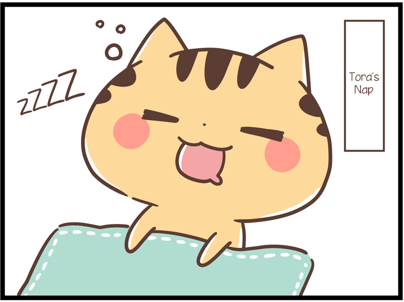 Kansai Cats Manga - Being the Straight Man - Chapter 5
