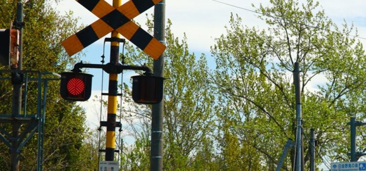 Green Flags When Picking Localization Company